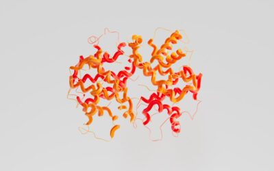 BPC-157 Research Applications: Molecular Mechanisms and Laboratory Analysis Protocols