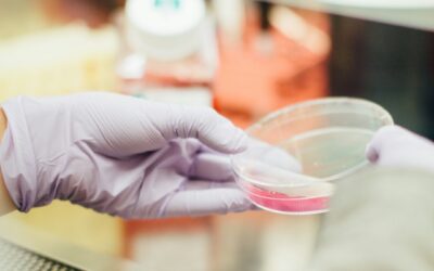 LL-37 Peptide: Comprehensive Research Analysis and Clinical Applications