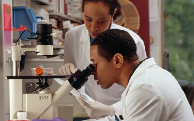 PNC-27 Peptide: Revolutionary Cancer Research Targeting HDM-2 Membrane Expression 2025