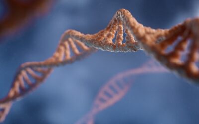 Cagrilintide 10mg: Advanced Dual-Action Peptide Research