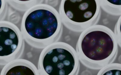 Thymosin Beta-4 Research: Comprehensive Analysis of Mechanisms and Applications